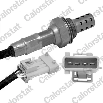 Oxygen Sensor